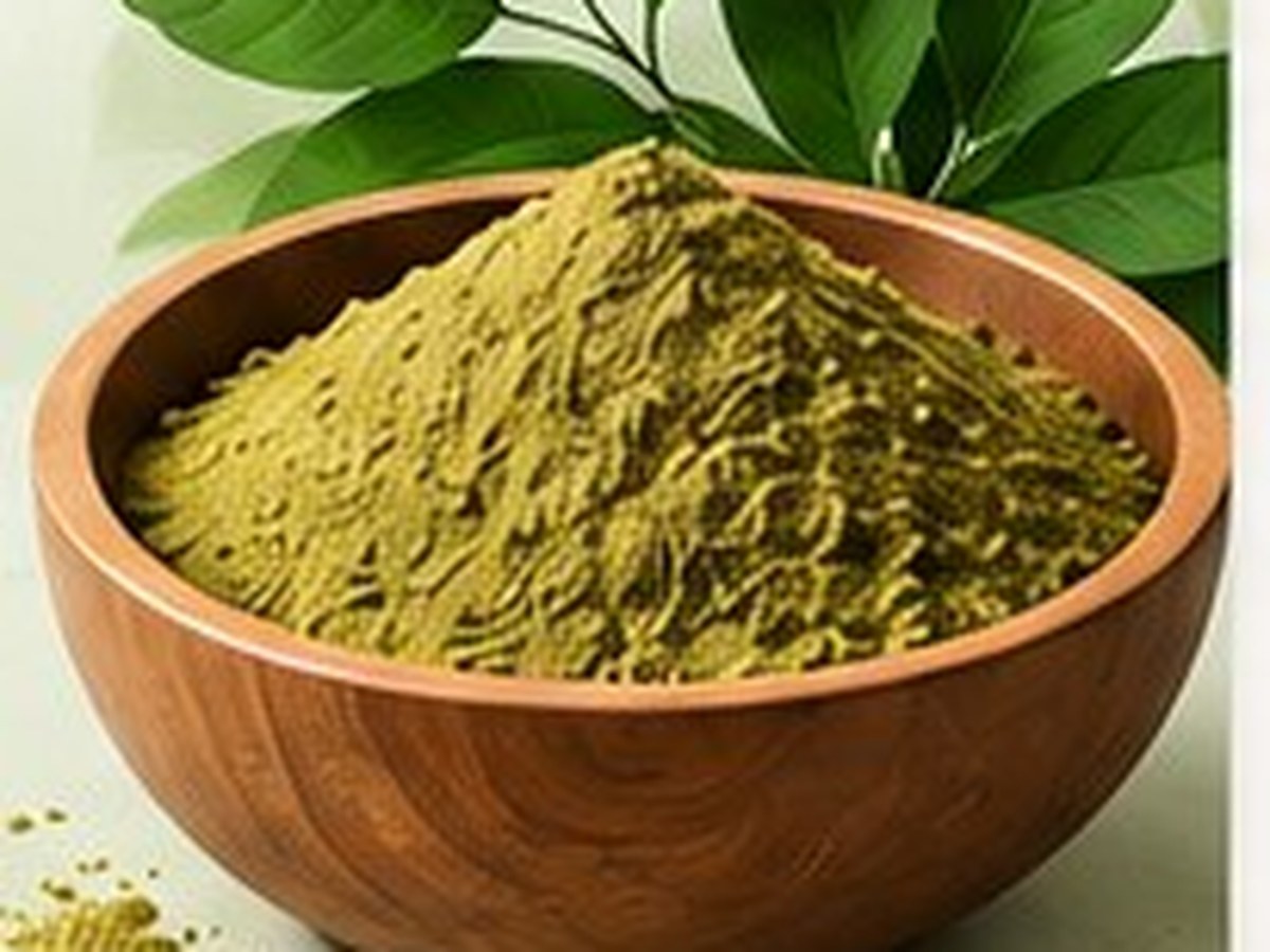 Sayal Henna powder and natural henna leaves